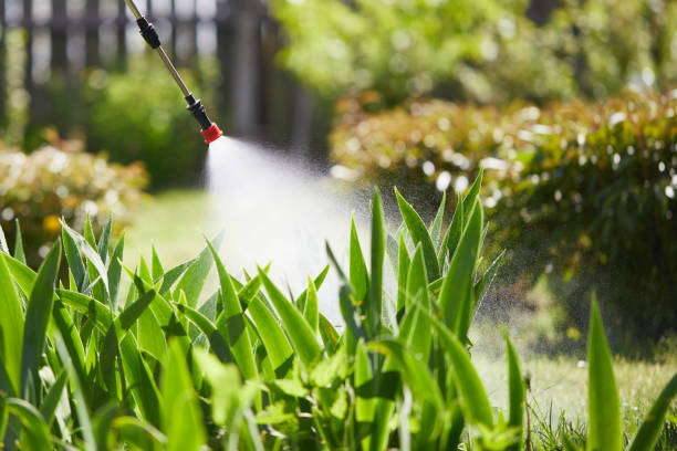 Tamper-Resistant Bait Stations for Rodents in Waikapu