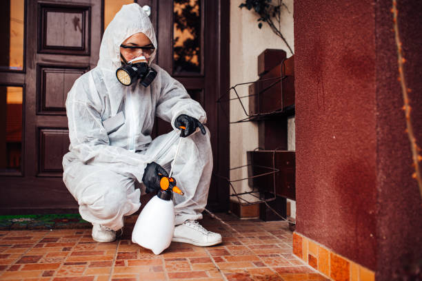 Attic and Crawl Space Rodent Treatment in Waikapu